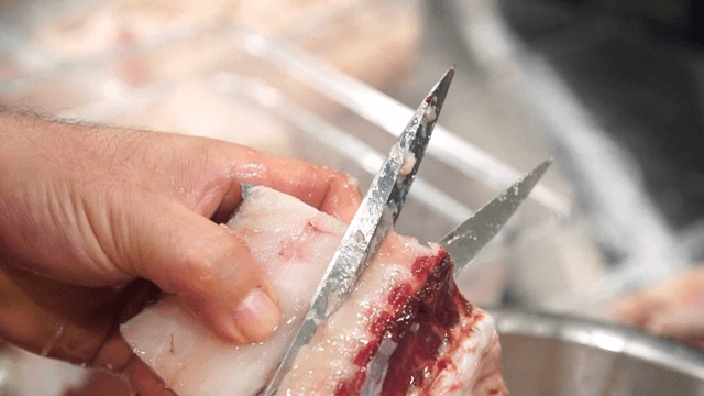 가위로 신선한 대구 자르기