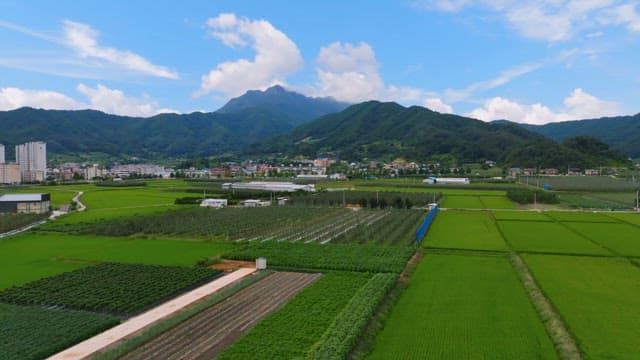 Rural village with green fields and mountains