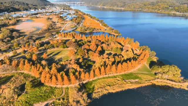 호수 옆 가을 단풍이 든 공원의 풍경