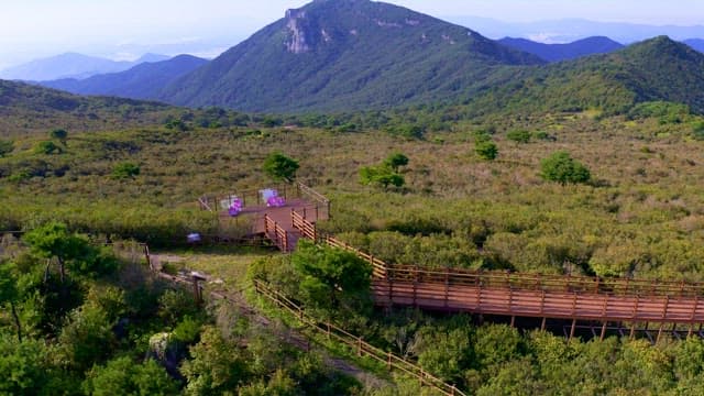 Observatory of lush woody mountains on a sunny day