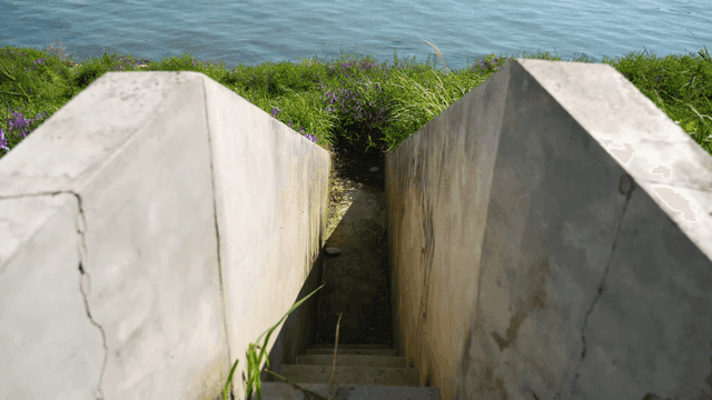 Concrete steps leading to river with grass