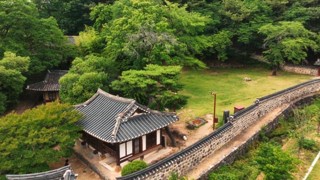 푸른 나무로 둘러싸인 한국 전통 가옥