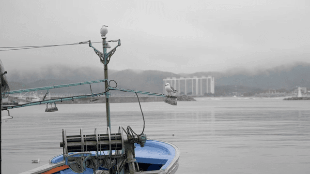 Seagulls perched on a fishing boat by the sea