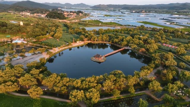 푸른 나무로 둘러싸인 고요한 연못