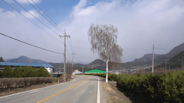 시골 지역의 좁은 2차선 도로