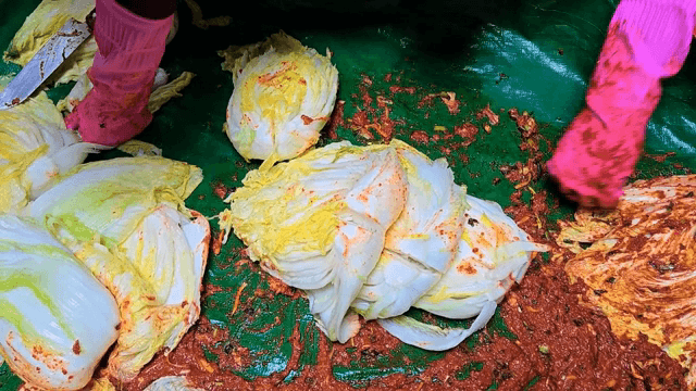 배추와 양념으로 김치 준비하기