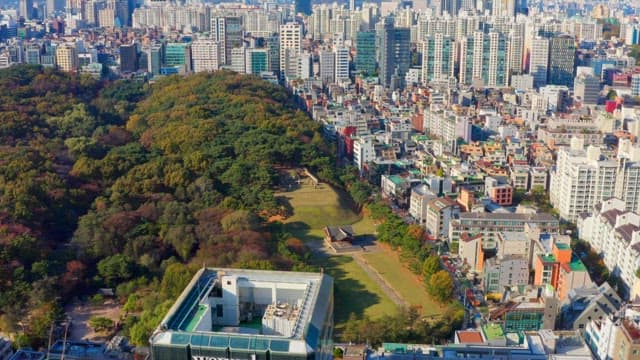 공원과 숲이 있는 도시 풍경