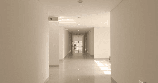 햇빛이 비치는 대학교의 조용한 복도