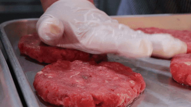 Gloved hands shaping raw meat patties