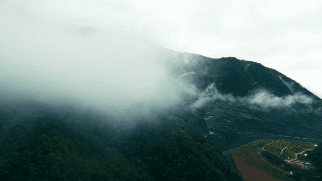 Misty mountains with lush green forests