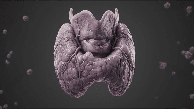Detailed view of thyroid gland rotting away due to virus