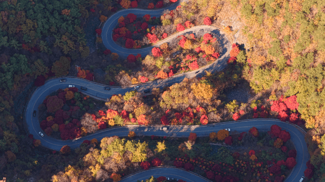 알록달록한 가을 숲 속 굽이진 도로