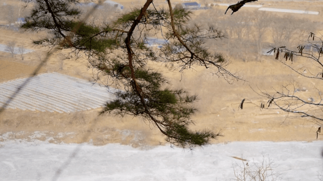 나뭇가지 사이로 보이는 시골 마을