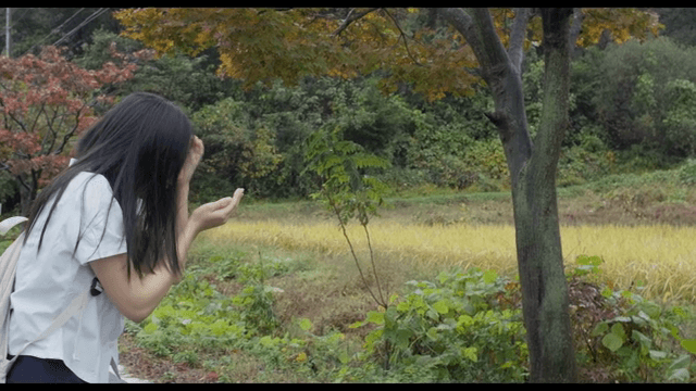 떨어지는 낙엽을 잡는 소녀