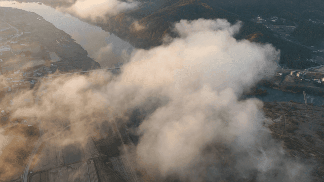 강과 농지를 덮은 아침 안개