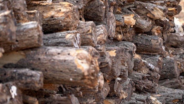 햇볕이 드는 야외 지역에 쌓인 목재