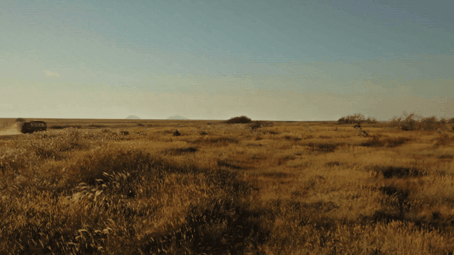 A vehicle driving through a vast field