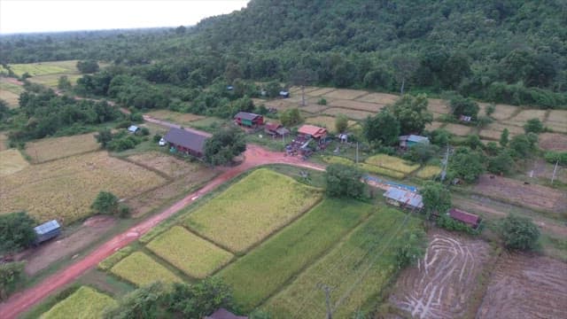 Rural village surrounded by lush fields