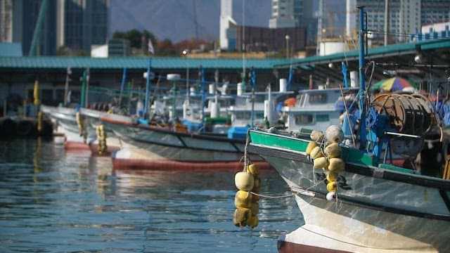 Fishing boats docked in a busy city harbor