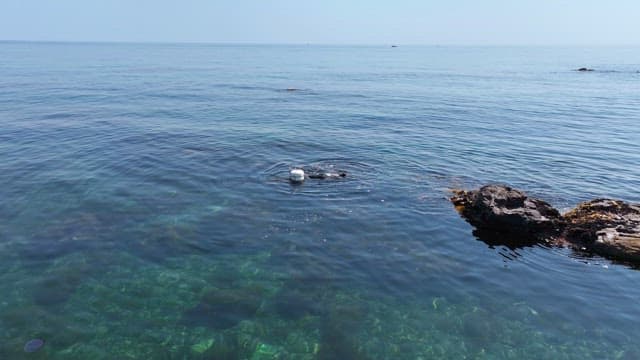 맑은 바다를 탐험하는 잠수부