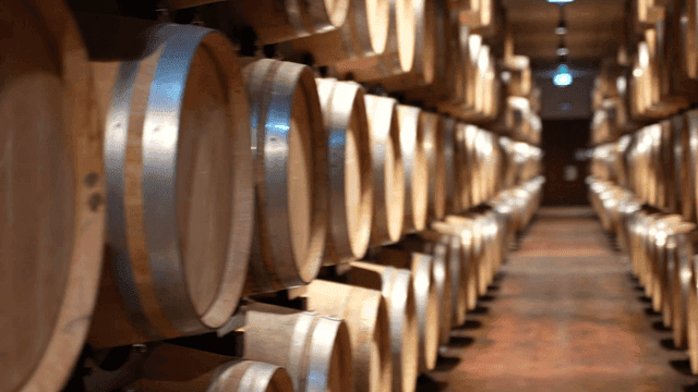 Rows of wooden barrels in a wine cellar