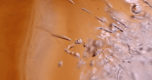 추상적인 패턴의 주황색 액체