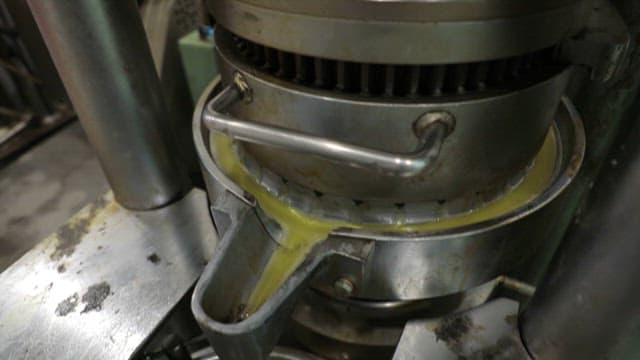 대마 종자에서 추출되는 노란 기름