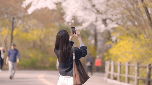 꽃 구경을 하며 공원을 산책하는 여성의 뒷모습