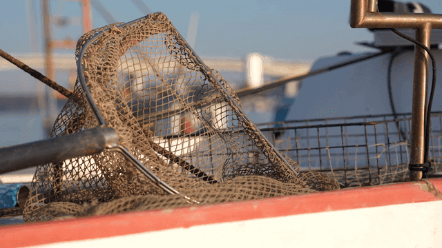 Net on rocking boat