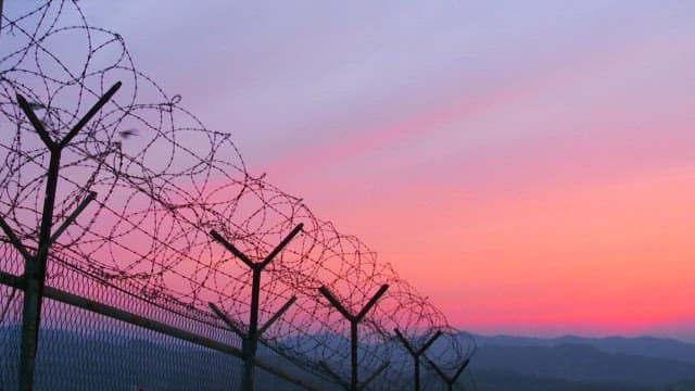 Sky with birds flying over barbed wire at dusk