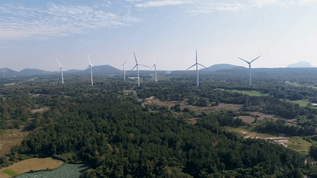 넓은 녹지에 있는 풍력 터빈