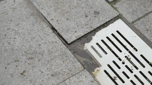 Rain-soaked sidewalk with a drain