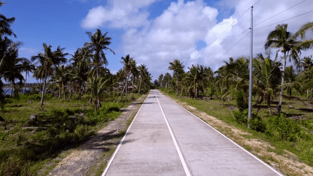 Long road lined with palm trees