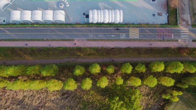 길과 나무가 있는 공원의 항공 뷰