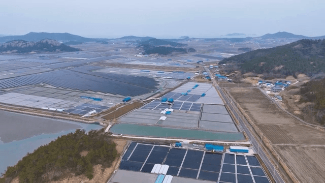 해안가의 넓은 양식장