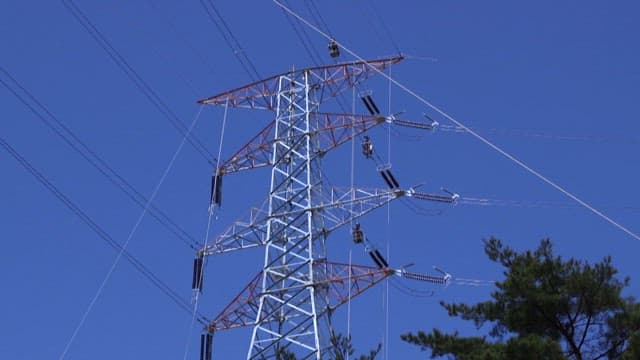 Electricians moving to inspect the high-voltage lines on a transmission tower