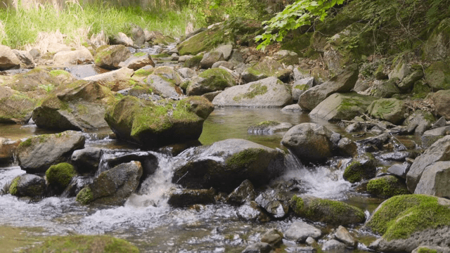 A tranquil stream flowing over mossy rocks