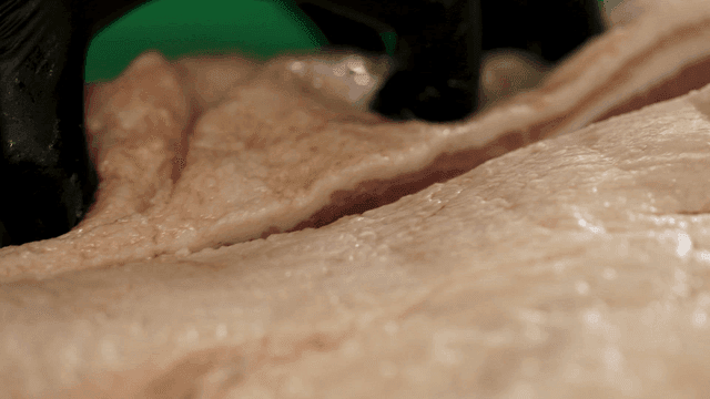 Hands cutting raw meat