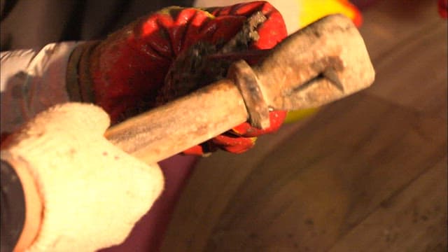 굴을 채집하는 과정