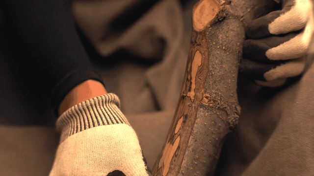 Carving wood with a knife indoors
