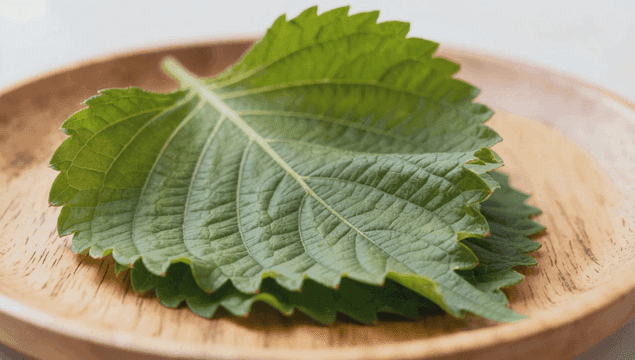 나무 접시에 놓인 신선한 깻잎