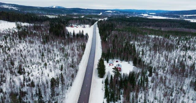 Snowy forest landscape with a long road