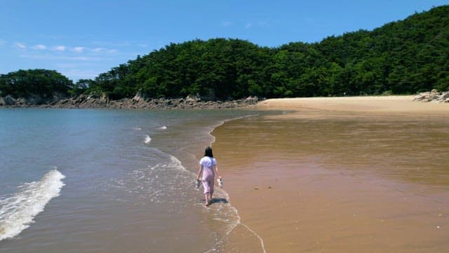 Woman Walking Alone on a Serene Beach