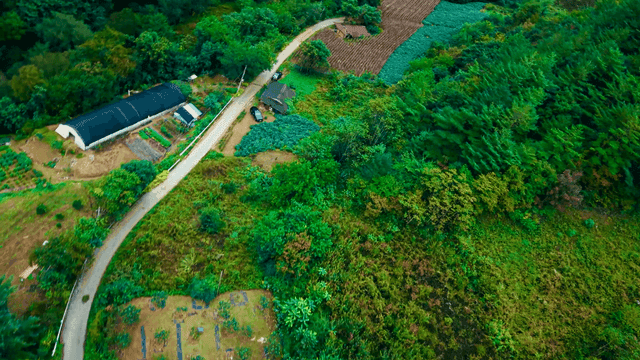 Lush green farmland with winding roads