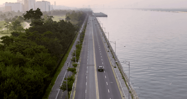 Coastal road and trees