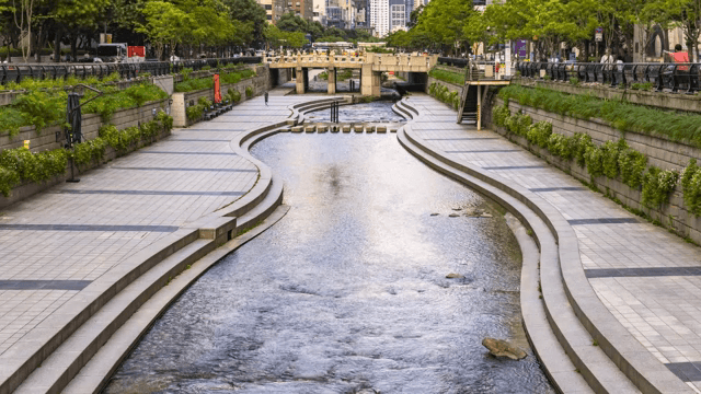 도심 사이로 흐르는 도시 하천
