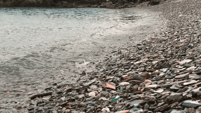 A rocky beach with scattered debris