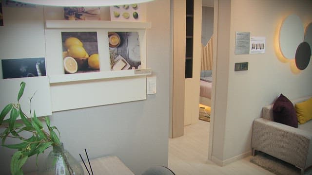 스타일리시한 장식과 아늑한 분위기의 현대적인 거실