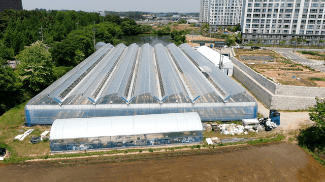 Large greenhouses near city buildings