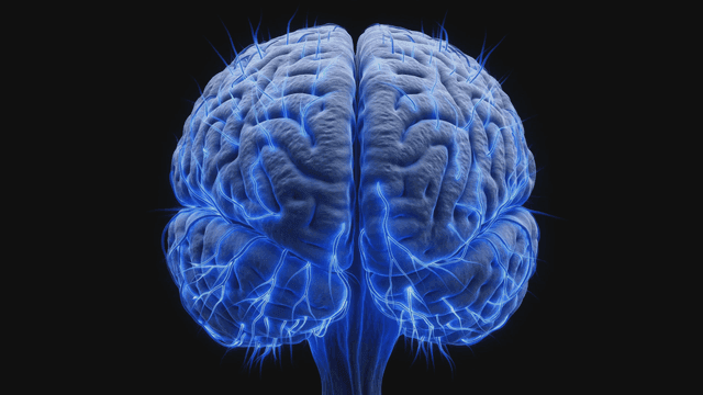 Human brain where blue electrical signals flow